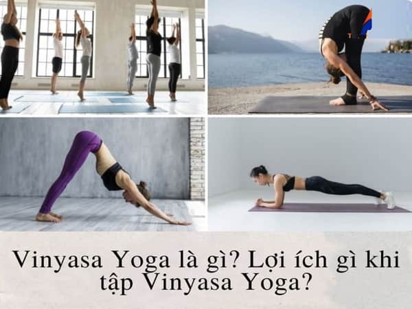Vinyasa yoga là gì
