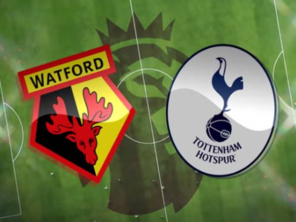 Watford vs Tottenham - Những cuộc đối đầu đầy ấn tượng