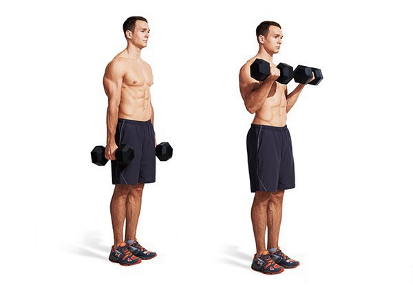 Lưu ý khi tập Barbell Curl Lưu ý khi tập Barbell Curl