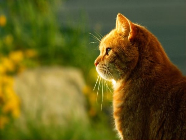 3. Lựa chọn số may mắn theo trạng thái cơ thể – Tín hiệu từ bên trong cũng rất quan trọng